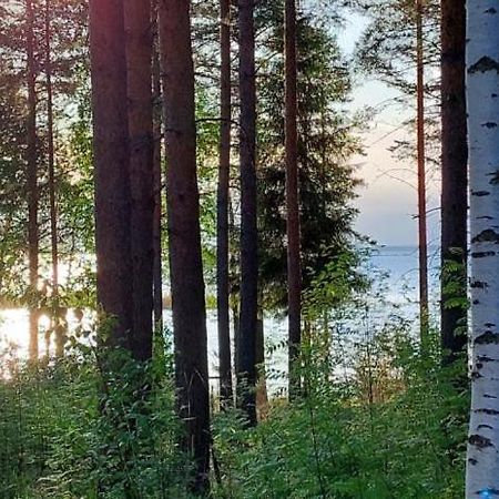 Pulla Karvisen Maatilamatkailussa Ruokola Esterno foto