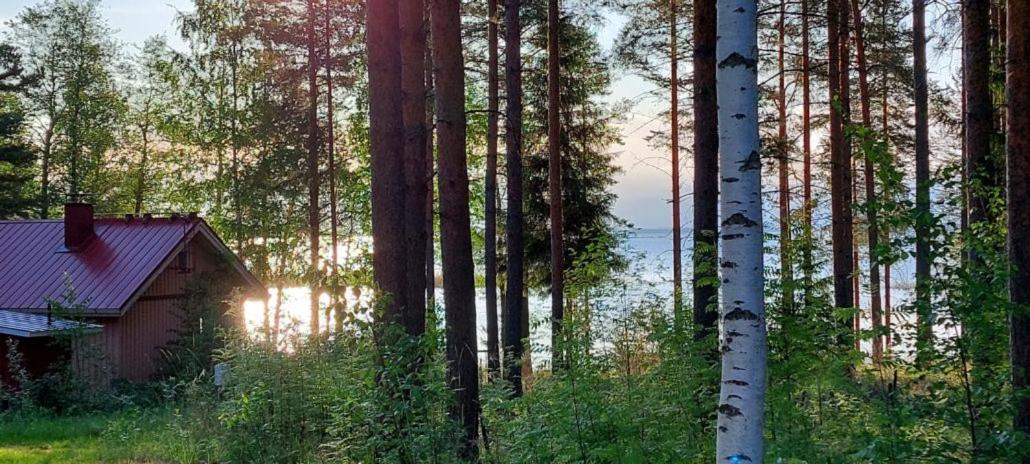 Pulla Karvisen Maatilamatkailussa Ruokola Esterno foto